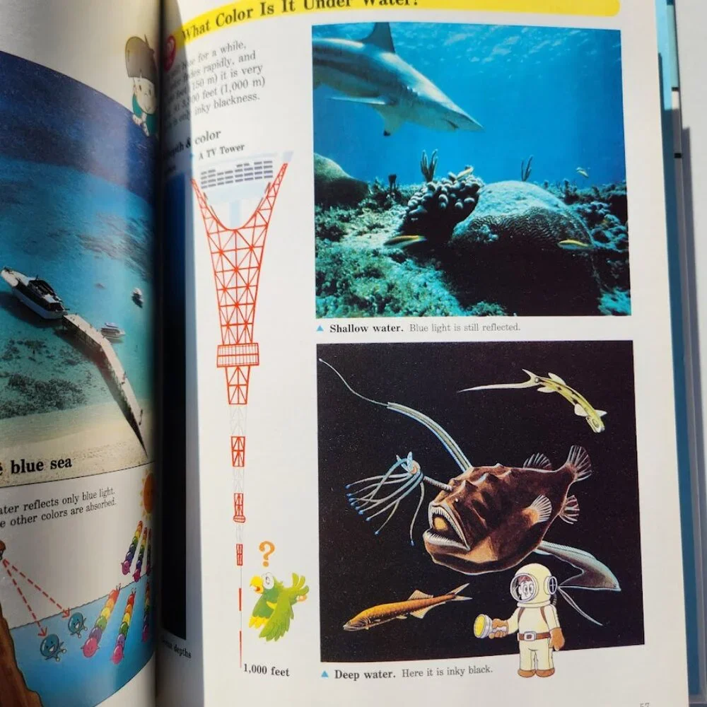 Sky and Earth A Child's First Library of Learning Book Science Book Homeschool B